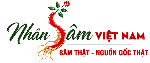 Nhân sâm Việt Nam